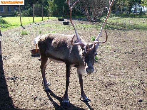 Finnland: 100_1900 / 