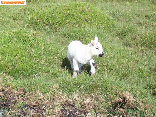Irland: 100_1127 / 