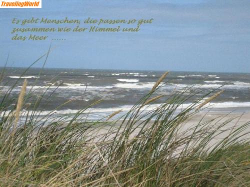 Dnemark: MenschuMeer / Nordseestrand in Houstrup