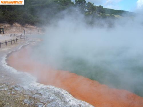 Neuseeland: Rotorua_10 / Rotorua
