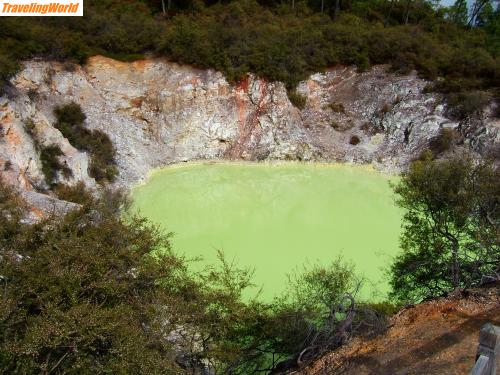 Neuseeland: Rotorua_8 / Rotorua - schwefelhaltiger See