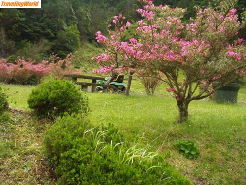 Portugal: Azoren0506 270 / Parklandschaft am Sete Cidades See