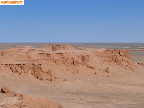 Mongolei: Mongolei Juli 2007 860 / Besichtigung des Saksaulwaldes und Dinosaurierausgrabungsstätte