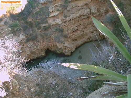 Portugal: Andrea3 010 / Agarve am Felsen