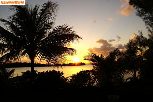 Bahamas: Bahamas Nov 2007 I 193 / Obligatorisches Sonnenuntergangsbild mit Palme