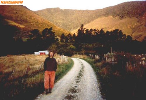 Neuseeland: NZFARM~2 / schaffarm in den marlborough sounds