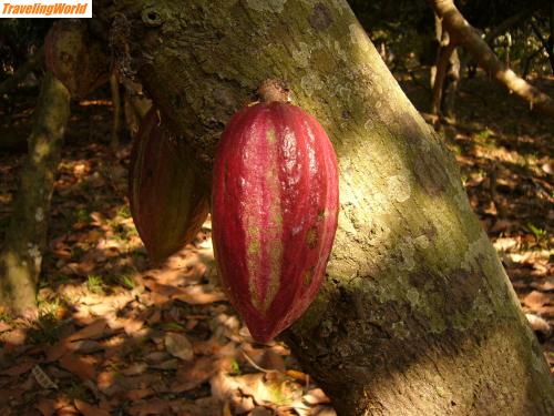 Madagaskar: mada 2005 c 394 / 