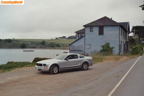 USA: Pt Reyes 1 / 15. Tag: Marshall bei Point Reyes