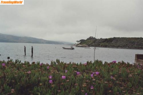 USA: Pt Reyes 2 / 15.Tag: Marshall bei Point Reyes