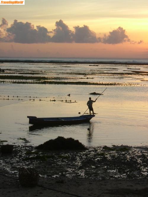 Indonesien: bali juli 07 052 / 
