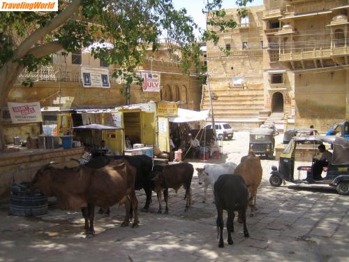 Indien: 1280_3261616437636234 / 