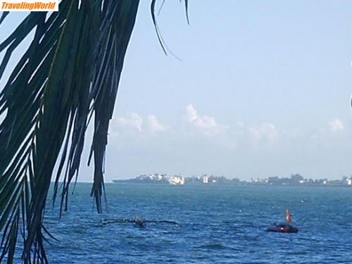 Kenia: Kenia 185 / 