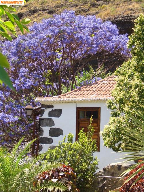 Spanien: 135 / 