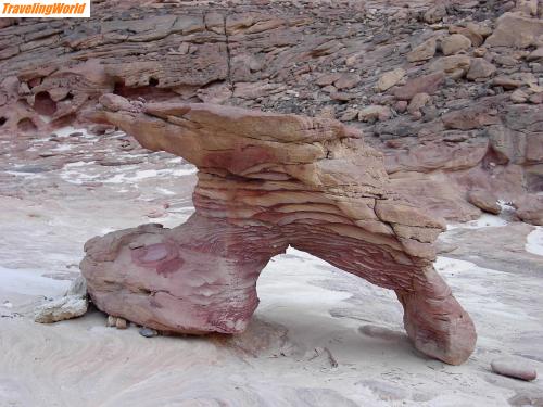 gypten: nature sculptures / nature sculptures