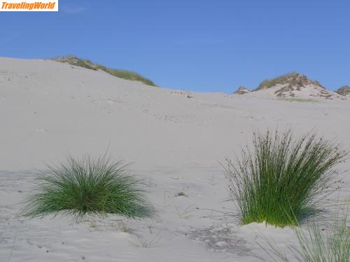 Polen: P7270239 / soweit das Auge reicht nur Sand...
