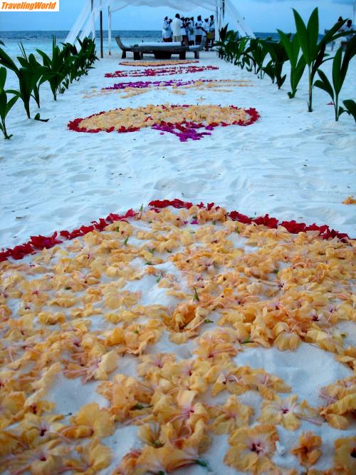Malediven: MLE Herbst 2007 85 / 