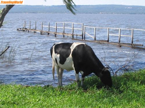 Paraguay: Paraguay 2007 001 / 