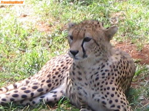 Kenia: ParaguayKenia 234 / 