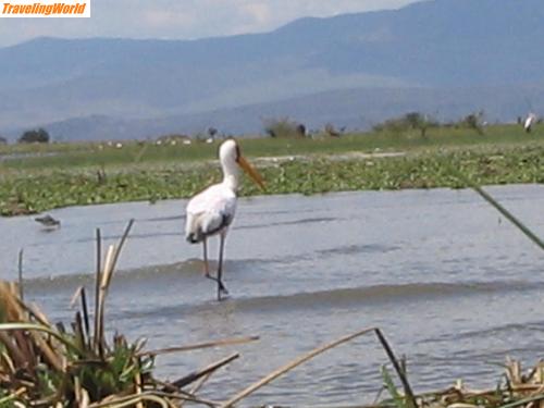 Kenia: ParaguayKenia 223 / 