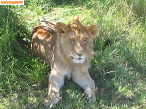 Kenia: ParaguayKenia 292 / 