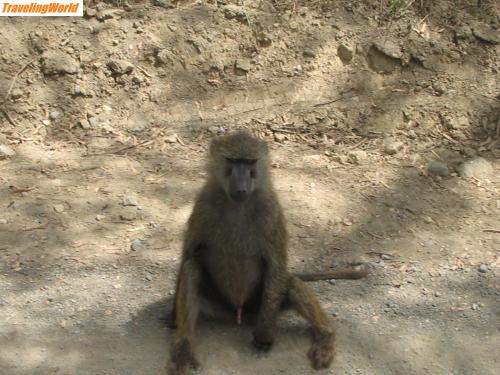 Kenia: ParaguayKenia 204 / 