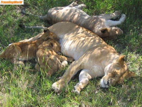 Kenia: ParaguayKenia 286 / 