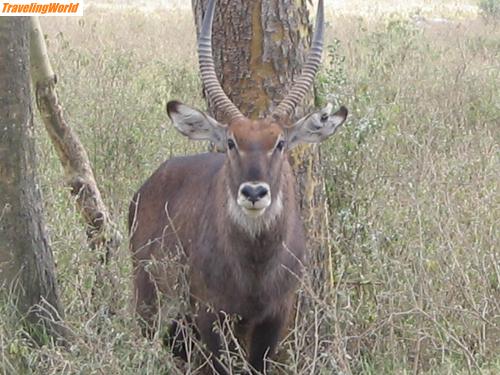 Kenia: ParaguayKenia 216 / 