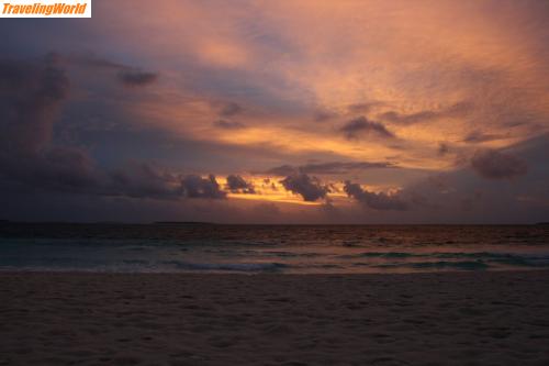Malediven: IMG_0736 / 