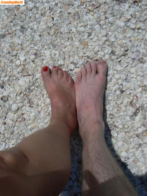 USA: sanibel / Da gehoeren sie hin die Muscheln und unsere Fuesse  auch.