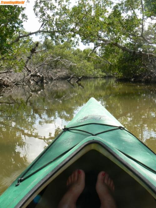USA: sanibel1 / Endlich paddeln..., darauf habe ich mich gefreut. Commodore Creek auf Sanibel. Da wir unsere Paddel nicht so harmonisch schwingen konnten, habe ich mich auf\'s fotografieren beschraenkt und das Ruder abgegeben.....