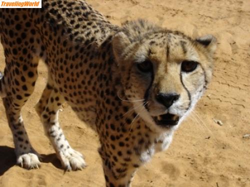Namibia: 01_namibia_2005 (434) / 