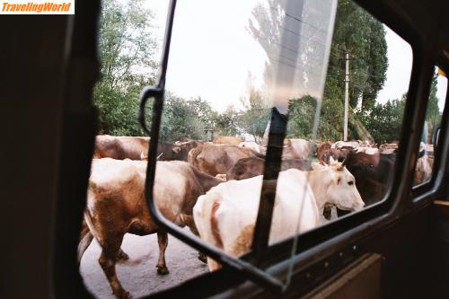 Kirgisistan: imm022_23-33 / 