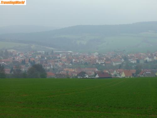 Deutschland: Bild 001 / 20.04.2008 Nationalpark Hainich. (Mihla)