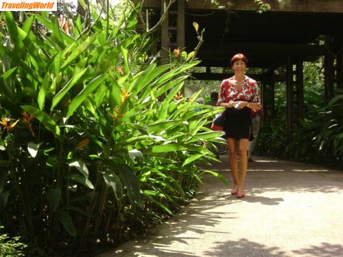 Singapur: DSC00559 / 