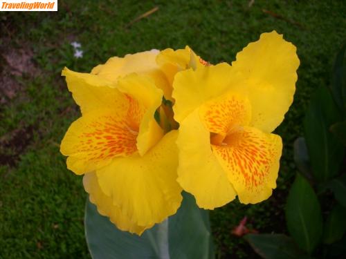 Costa Rica: Vulkan Arenal NP-Reservat (23)a.. / 