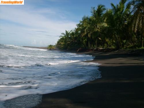 Costa Rica: Tortuguero NP (44)a / 