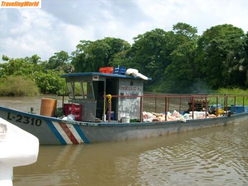 Costa Rica: Tortuguero NP (189)a.. / 