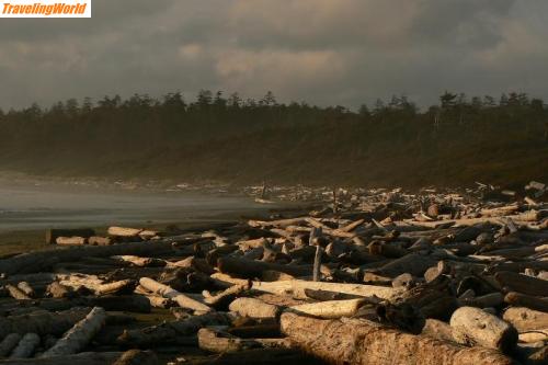 Kanada: vancouverisland3 / Wilde Westkueste, das Holz treibt an den Strand.
