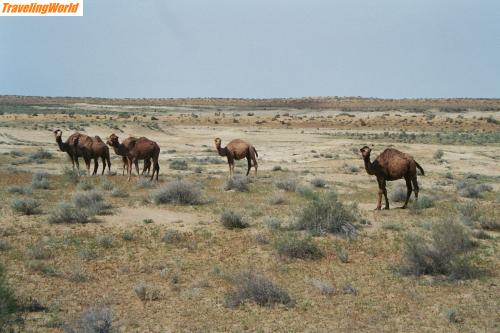 Usbekistan: imm028_29A / 