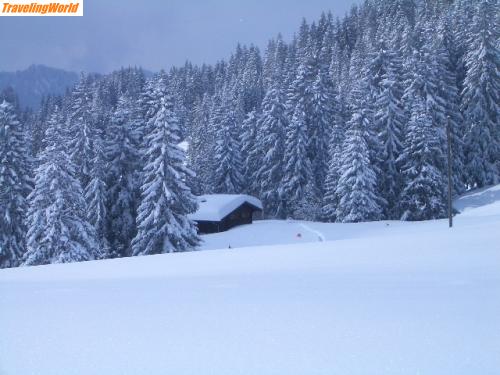 Schweiz: Alp 3 / 