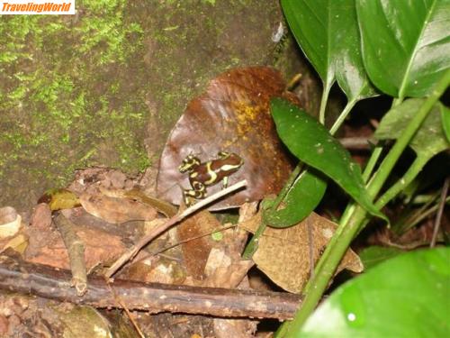 Panama: Panama 207 (Small) / 