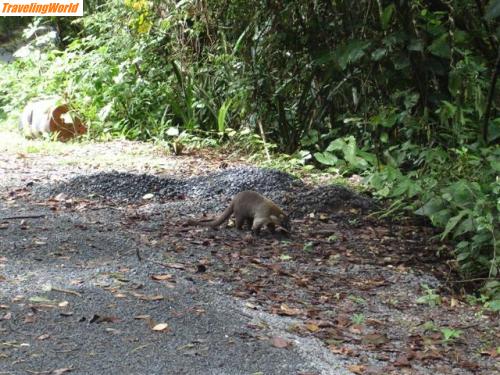 Panama: Panama 073 (Small) / 