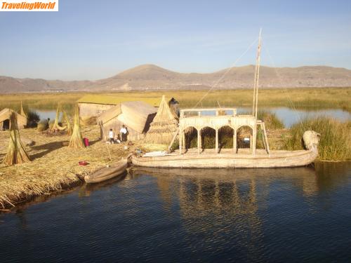 Peru: Titi cacasee / 