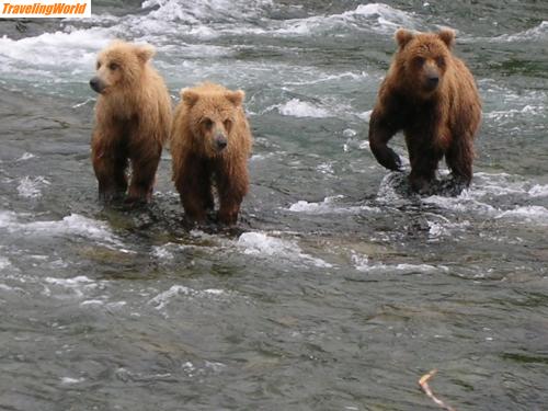 USA: Alaska 318 / 
