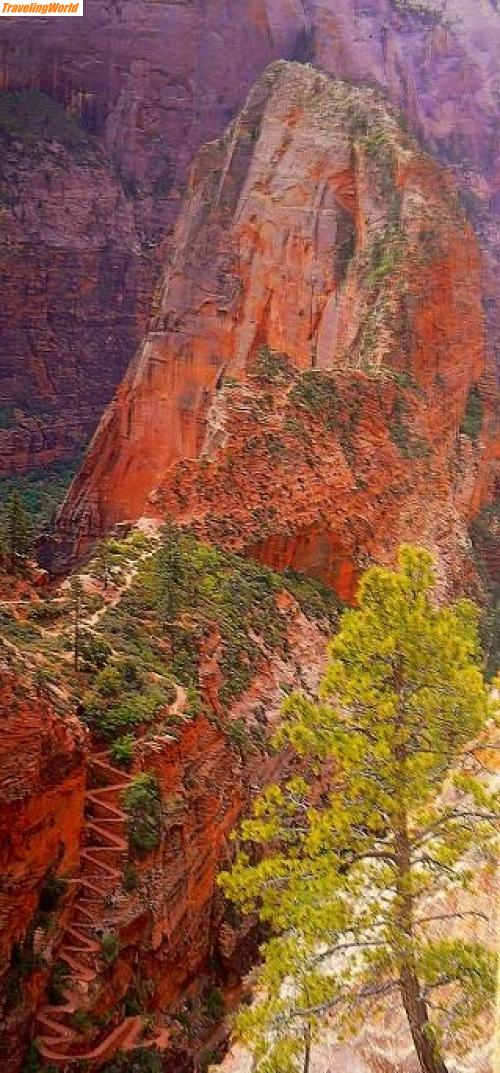 USA: 24 / Angels Landing, Zion National Park