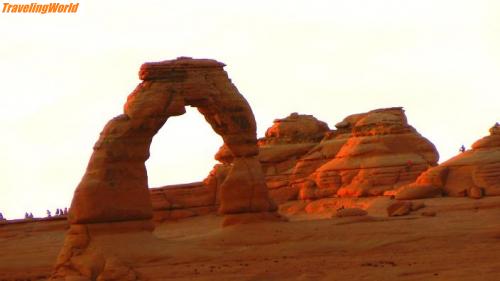 USA: 18 / Delicat Arche 
