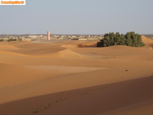 Marokko: P4090159 / Merzouga am frühen Morgen vor den Dünen