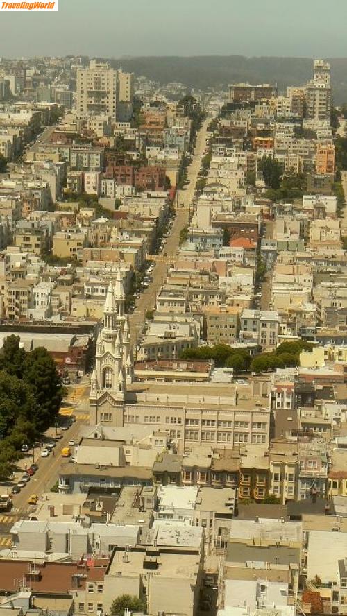 USA: 4.jpg / Die Strassen von San Francisco vom Coit Tower gesehen