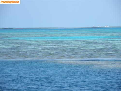 Australien: P7130108 / Great Barrier Reef