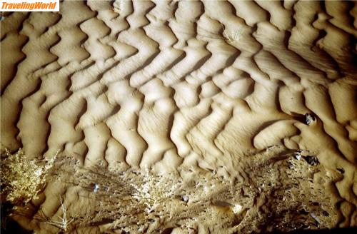 Pakistan: 484 desert / 